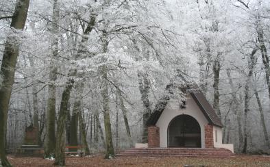 Chapelle Saint-Arbogast au Gros Chêne Chapelle Saint-Arbogast au Gros Chêne
