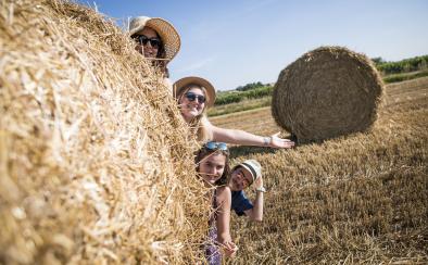 L'été au Pays de Haguenau © Cyrille Fleckinger