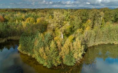 Forêt d'Exception® de Haguenau Forêt d'Exception® de Haguenau
